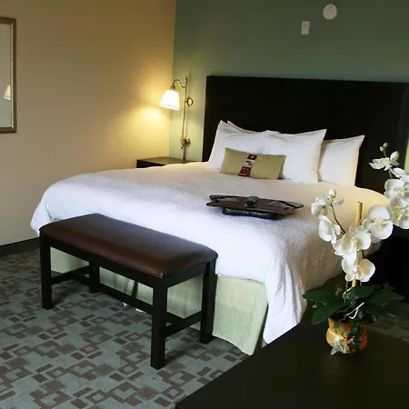 Hampton Inn & Suites Savannah-Airport-2