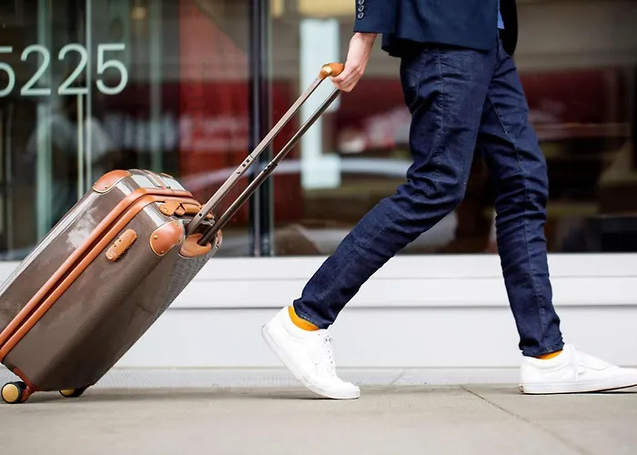 Pet Friendly Hotels Savannah GaHyatt Place Airport